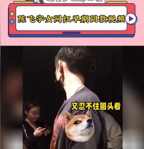 陈飞宇女网红爆料视频,揭秘娱乐圈不为人知的秘密